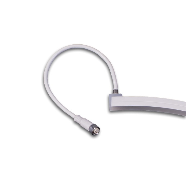 BSL Neon flex Top bending 10m